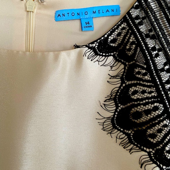 Beautiful Antonio Melani. Shimmer dress with black lace. - Picture 1 of 3